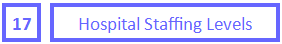 17 Hospital Staffing Levels