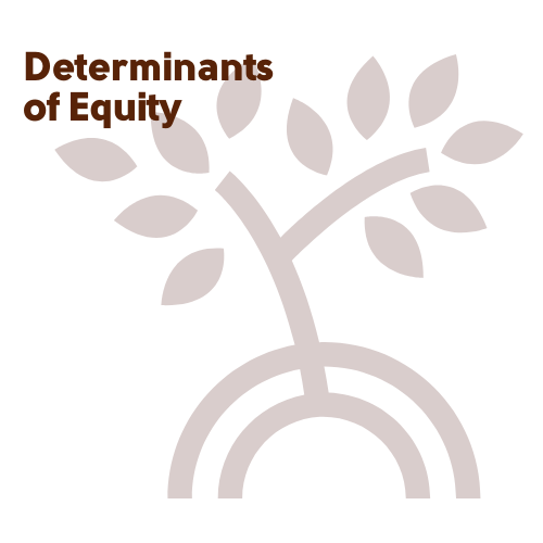 determinants of equity